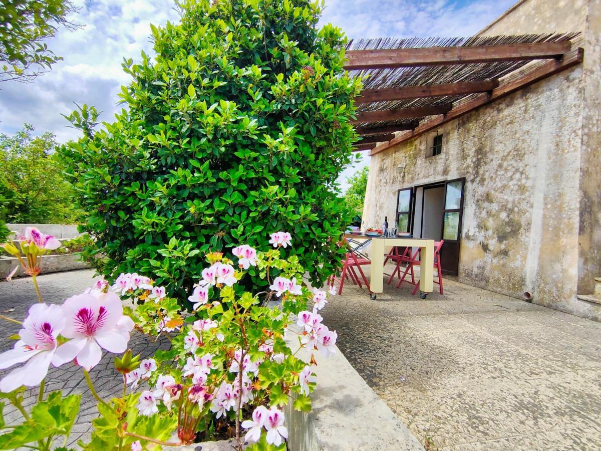 La Rudda Di Casa Camilla Journey Apartment Specchia Exterior photo